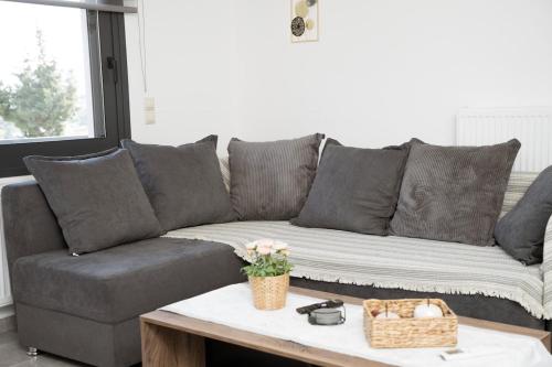 a grey couch sitting in a living room with a coffee table at F & A Family Home in Zarós