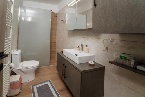 a bathroom with a sink and a toilet at F & A Family Home in Zarós