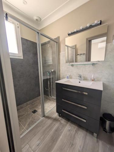 une salle de bain avec un lavabo et une douche dans l'établissement Plaisance, à Saint-Satur