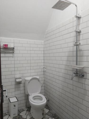 ein weißes Badezimmer mit Toilette und Dusche in der Unterkunft Stokel Cottage in Praya