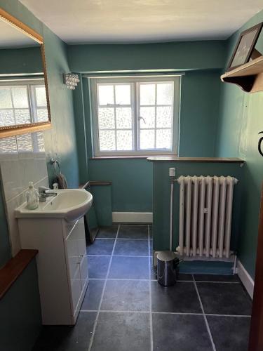 a green bathroom with a sink and a radiator at Heron House in Warwick
