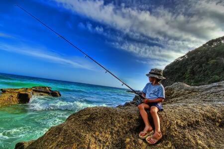 Příroda nedaleko chaty