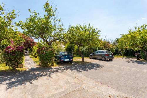 two cars parked in a parking lot with trees at Agriturismo Terrenia in Taormina