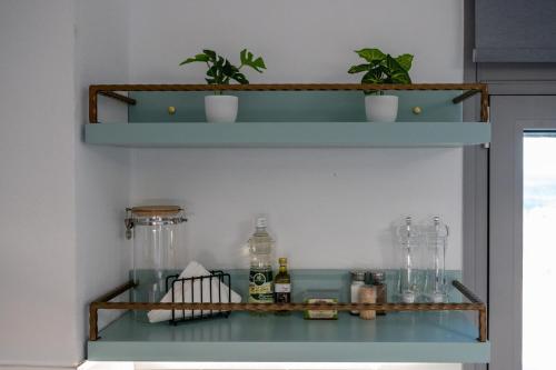 a shelf with some plants on top of it at Villa Akalli in Frangokastello