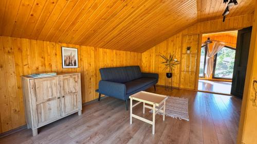 a living room with a couch and a table at Varadeo Hill Resort in Şuncuiuş
