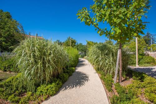 a path through a garden with a tree at Mas J des Sens - petit dej compris in Le Val