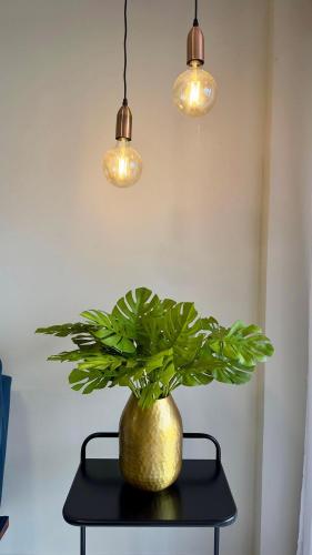a plant in a vase on a table under lights at (1209)Studio com vista panorâmica mar in São Luís