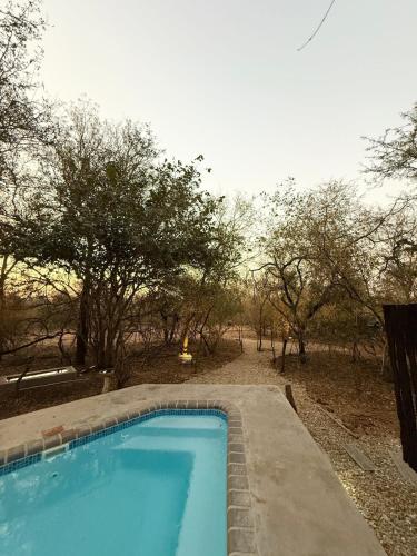 a blue swimming pool with trees in the background at Veni Vidi Amavi Luxury Safari Treehouse in Marloth Park