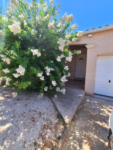 un arbre devant une maison avec garage dans l'établissement Family villa in Salles-d'Aude, à Salles-dʼAude
