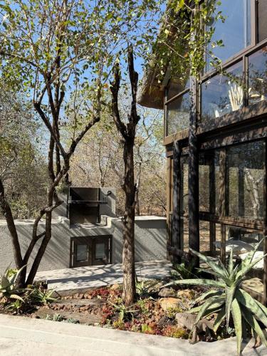 a tree in front of a building with a bench at Veni Vidi Amavi Luxury Safari Treehouse in Marloth Park