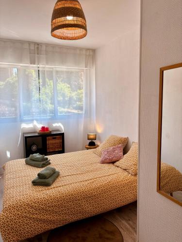 une chambre avec un lit et une fenêtre dans l'établissement Appartement Rouen centre proche CHU, à Rouen