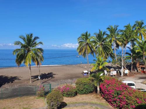 a view of a beach with palm trees and flowers at Appartement Ti Balcon - Plage à 20m in Le Carbet