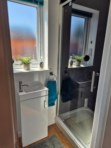 a bathroom with a shower and a sink and a window at Air Conditioned self-contained private annexe in Willen
