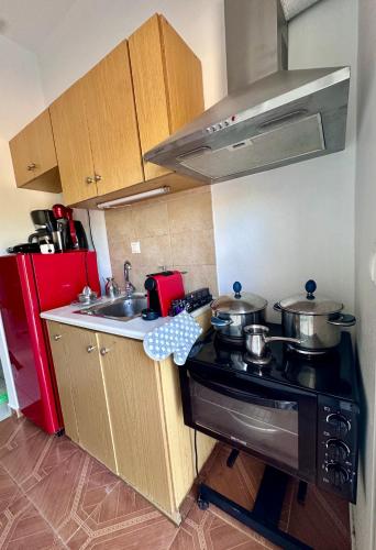 a small kitchen with a stove and a sink at ARTE MARE d'Irene in Spárton