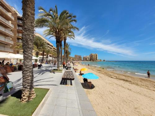 Paseo De La Playa