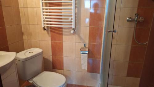 a small bathroom with a toilet and a shower at Rafa in Trzęsacz