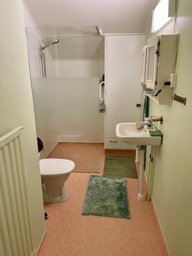 a small bathroom with a toilet and a sink at Beloni 122 in Gustavsfors