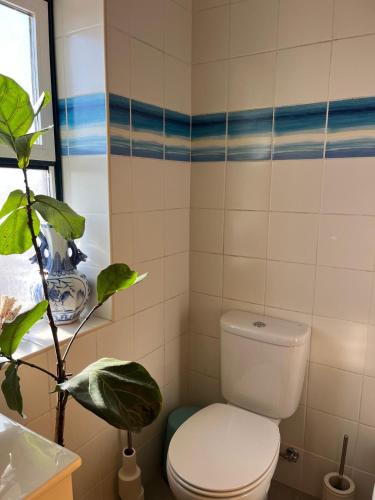 a bathroom with a white toilet and a plant at Casa do Caracol in Oliveira de Azemeis