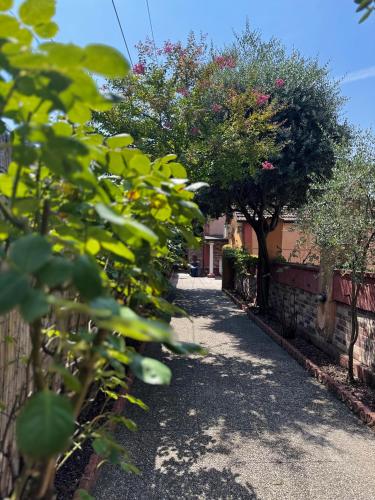 a garden path with trees and a fence at Villa Cittadella in Mantova