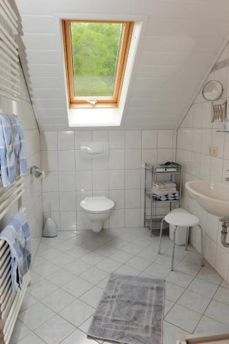 a bathroom with a toilet and a sink and a window at Suschethof in Oppenau