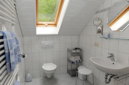 a bathroom with a sink and a toilet and a window at Suschethof in Oppenau
