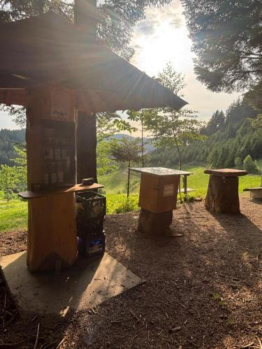 a picnic shelter with two benches and a table at Suschethof in Oppenau