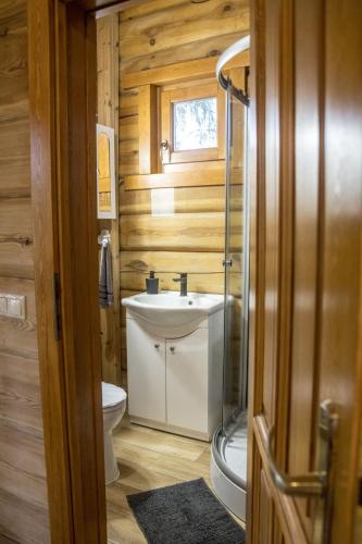 a bathroom with a sink and a toilet at A fák ölelése vendégház in Bükkaranyos