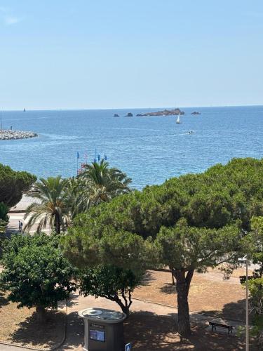 a view of a beach with trees and the ocean at Bleu Azur -Vue Mer 6e Etage - Triangle d'Or in Saint-Raphaël