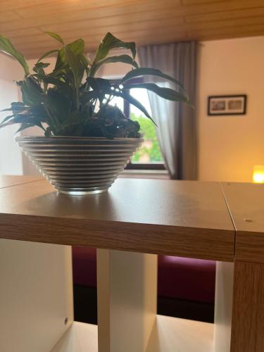 Foto de la galeria de Ferienzimmer Moller a Kolitzheim