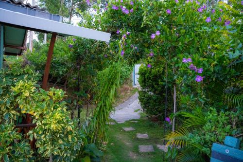 a garden with purple flowers and a pathway at Astral Zone Cottage ELLA in Ella