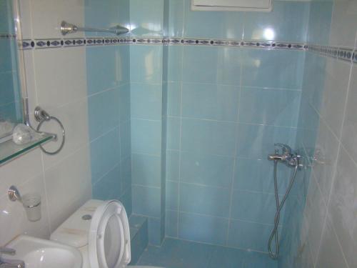 パラリア・ブラフにあるMarieva Sea Houseのバスルーム(シャワー、トイレ、洗面台付)
