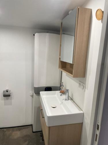 un bagno con un lavandino bianco e un mobiletto di Studio Ajaccio Centre ad Ajaccio