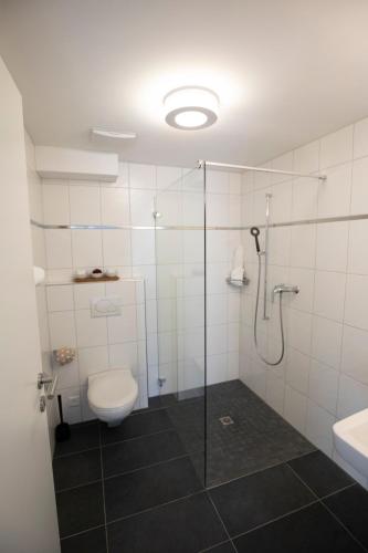 a bathroom with a shower and a toilet and a sink at Gasthof Löwen in Herznach