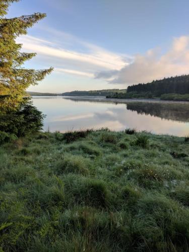 a body of water with a tree in the foreground at Bala Retreat in Bala