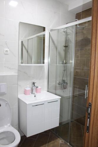 a bathroom with a shower and a sink and a toilet at AMD - garsonjera 312 in Dobra Voda