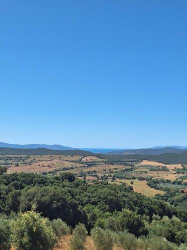a view of the rolling hills and trees at Casale Oleo in Montiano