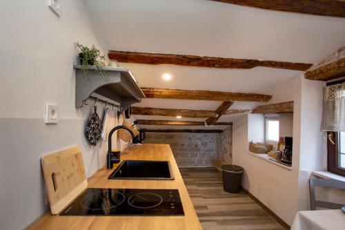 Studio ANIMA GENOVESE - Old Town Rovinj - sea view