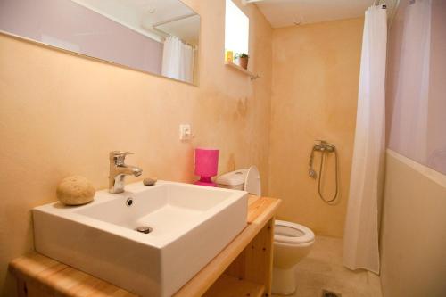 a bathroom with a sink and a toilet and a mirror at Lemonia Home in Sirílion