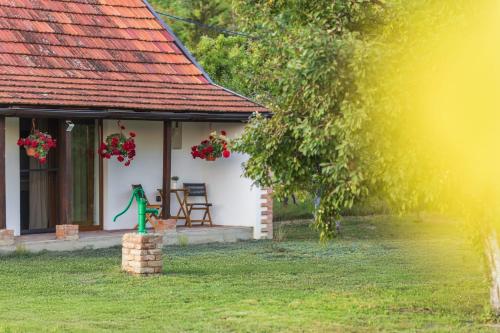 a house with a green dinosaur in front of it at Ruralna kuća za odmor Bor Anya in Vardarac