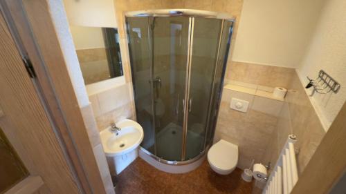 a bathroom with a shower and a toilet and a sink at Willa Agma in Zakopane