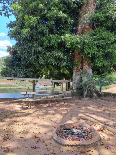 a park bench sitting next to a tree with a hole at Casa de fazenda com lago in Engenheiro Paulo de Frontin