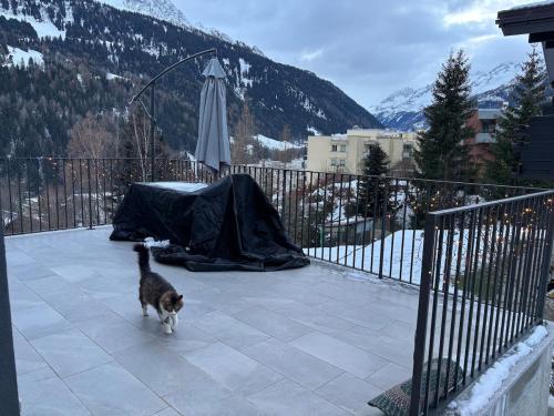Nespecifikovaný výhled na hory nebo výhled na hory při pohledu z apartmánu