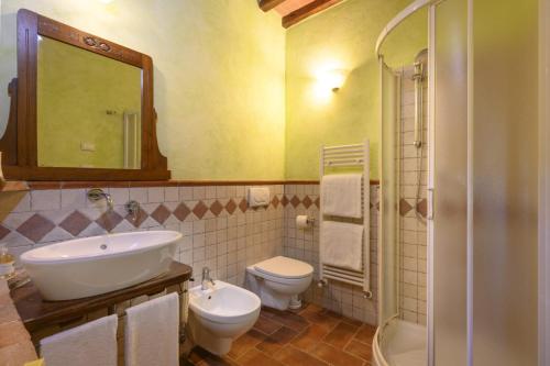 a bathroom with a sink and a toilet and a mirror at La Landuccia in Libbiano