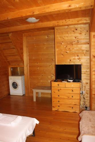 Una sala de estar con un televisor sobre una cómoda en una cabaña. en Lotos - vikendica 1, en Bar