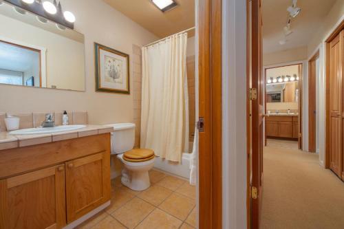 a bathroom with a toilet and a sink and a mirror at RMR: Lupine 1911 Condo in The AspensWilsonWY in Wilson