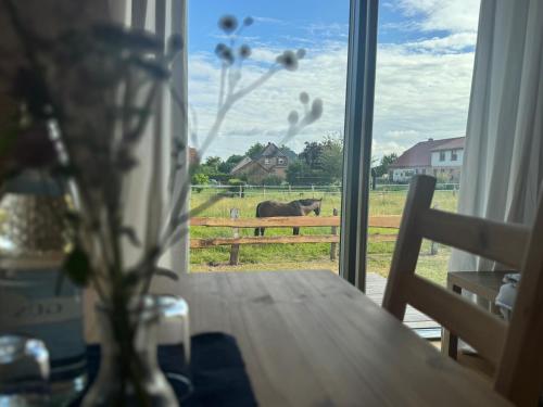 Gambar di galeri bagi Gemütliches Tiny Haus auf dem Land di Schwasdorf