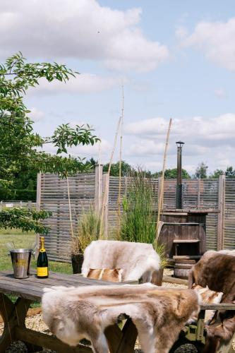 a group of dogs laying around a wooden table at Bonnie's Shepherd's Hut - Wellness & Hot Tub in Nottingham