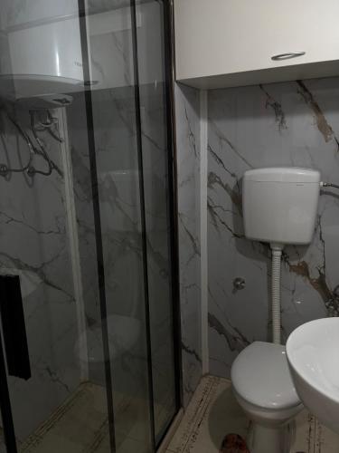 a bathroom with a toilet and a sink at Apartment Melina in Pluzine