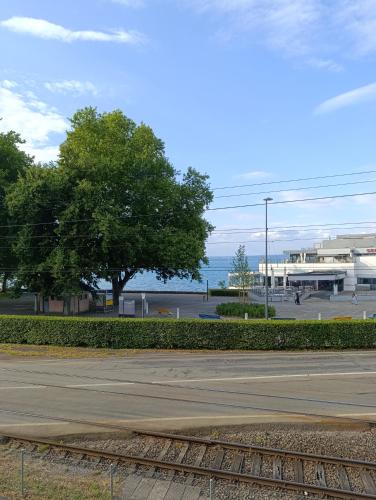 an empty street with a tree and the ocean at Creawonder House in Rorschach