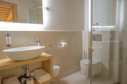 a bathroom with a sink and a shower and a toilet at Suites DANICA in Šmartno